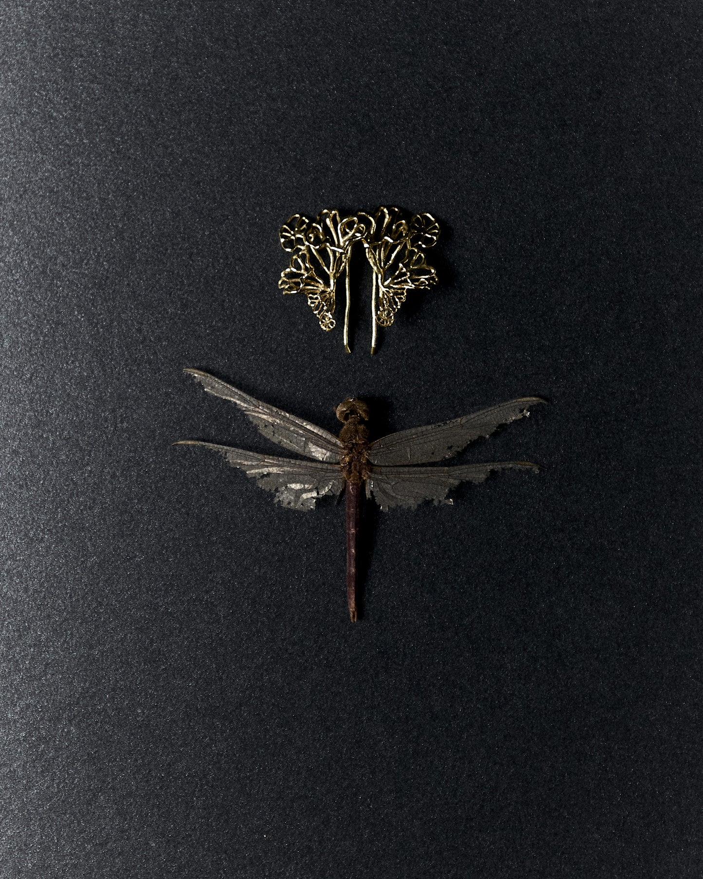 tecsao earrings gold