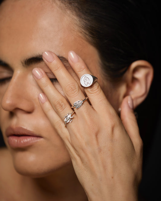 anillo de sello mosca