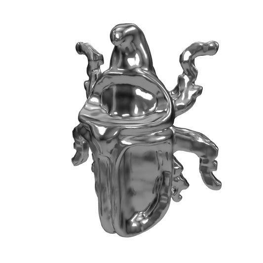 escarabajo-t charm